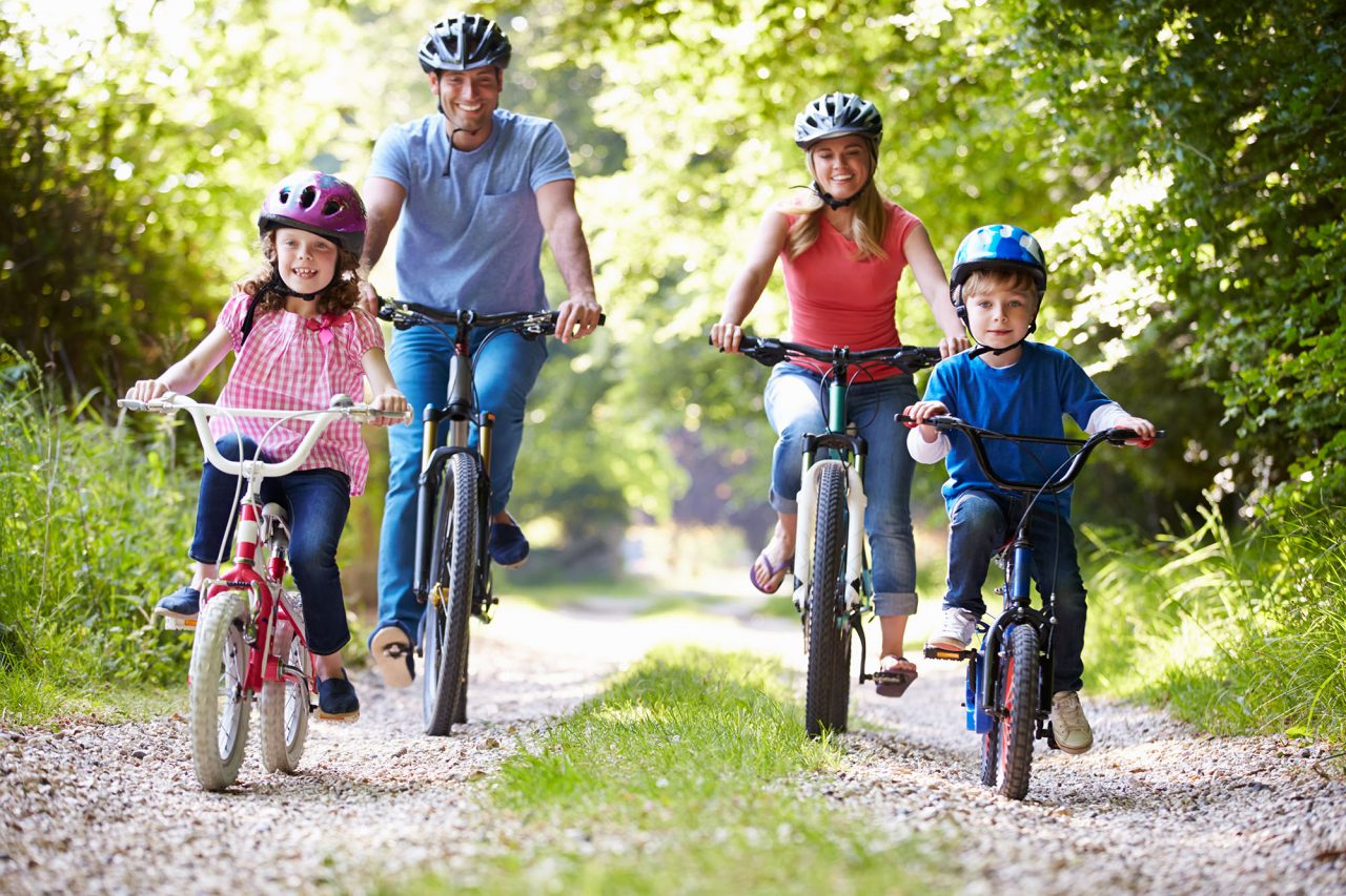 Sortir à vélo en famille image